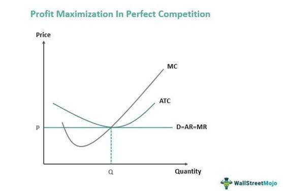 Maximizing Solar Panel Efficiency in Virginia's Climate