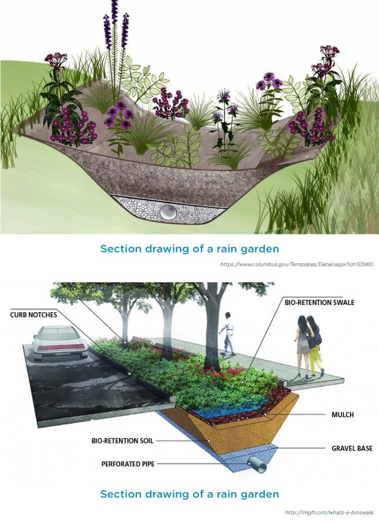 5. Sustainable Landscaping: Enhancing Energy Efficiency Outdoors