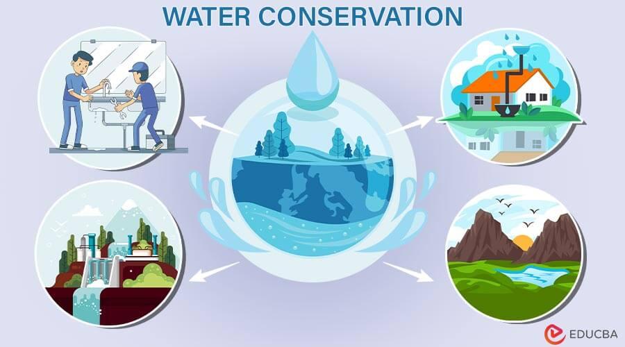 Water Conservation: Maximizing Efficiency Beyond Energy Use