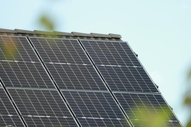 Evaluating Different Solar Panel Options