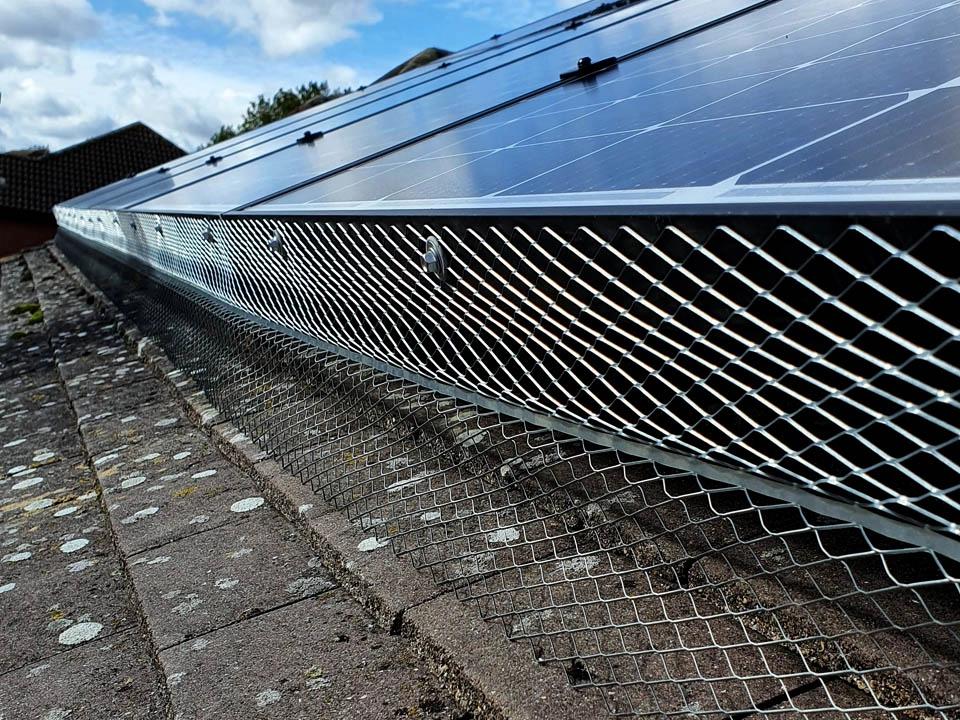 Maintaining Your Bird-Proofed Solar Panels for Longevity