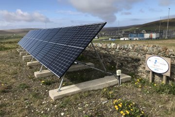 solar panels by the pallet